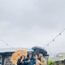 제주도 하도리 돌담집 2박 3일 후기