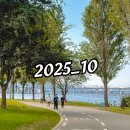 메르시몽프레 포메분양&애견카페 | [2025년 10월] 월간 일상기록 (아이폰17사진)