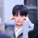 진투어스