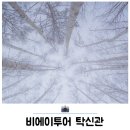 일본 북해도여행 삿포로 비에이투어 탁신관 자작나무숲 포토존 후기
