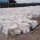 한진2리 이미지