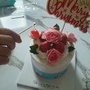 [동탄 딸기케이크 맛집] 엔젤스가든 내돈내산 후기
