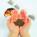 서강약손한의원 이미지