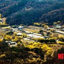 양평한우 이미지