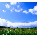 그대그리고나 이미지