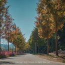 신소양체육공원 이미지