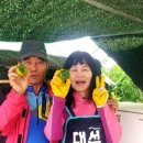 남경세차장 네이버블로그