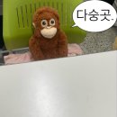 교향시 -화음 | 모아보는 모스크바의 새벽, 현의 고백, 끝춤