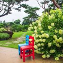 장이익어가는마을 이미지