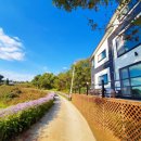 고은집 펜션 이미지