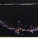 [물향님] 흥국화재 이미지