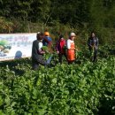 주암(천안) 이미지