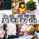 포진활어 이미지