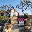 핑크섬 민박 이미지