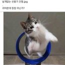 날개없는 선풍기 단점 이미지