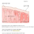 병원블로그관리 전문성을 쉽게 전달하는 콘텐츠