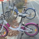 보람동_세종시청후문 잔디광장 | 세종시는 11.7일부터 ‘꼬마어울링’ 111대 시범 도입