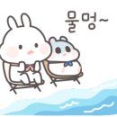 거북이펜션 이미지