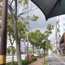 영등동-09 이미지