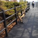 돌산배드민턴장(숲길) 이미지