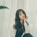 퍼플레인컴퍼니