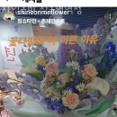 샤인 온 미