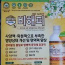 금호양봉원