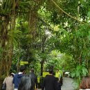 용정2리 이미지