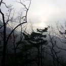 돈통마늘보쌈 양주덕정점 이미지