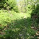 주흘문화센터 | 잣밭산-수리봉(문경)