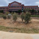 세미한병원 이미지