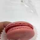 벚꽃의 꽃말