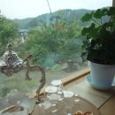 장전길농장 이미지