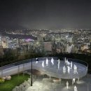 남산카써비스 중앙일보