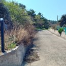 유림삼거리 이미지