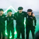 담원5 이미지