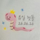 돌잔치 답례품 수건 데이디어 내돈내산 후기, 할인 받는 방법