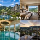 원주이발소 | 오크밸리 리조트 조식 수영장 강원도 원주 호캉스 숙소 추천