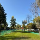 파크골프장 화장실 | 광주광역시 18홀 파크골프의 명소! 첨단 대상 파크골프장 직접 다녀온 후기!🏆