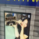 제이.제이오락실 이미지