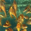 우도당구 이미지