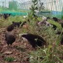 나누리농원 이미지