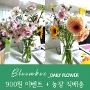 영득농장 | 블룸박스(bloombox)_농장 직배송 (이건 만족🥰) + 900원 이벤트(이건 별로...😫) 솔직 후기