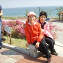 동해(동해)휴게소 이미지