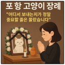 해솔축산 | 포항고양이장례, “어디서 보내는지가 정말 중요할 줄은 몰랐습니다”