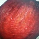 하늘이농원 | 레드비트 요즘 많이 먹는데 효능을 알고 계시나요??