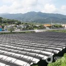 두산2리 이미지