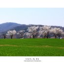 성원목장 이미지