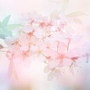 백초한의원 이미지