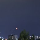 송정할매홍어 이미지